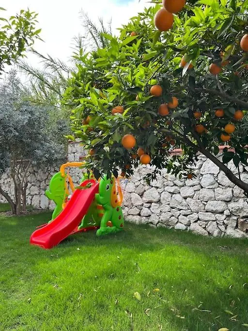 פאטהיה Villa Gizem 0*,  טורקיה